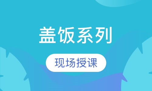 盖饭系列