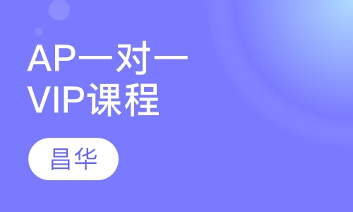 AP一对一VIP课程