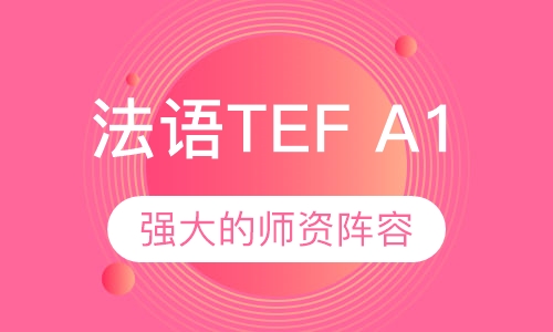 法语TEF A1