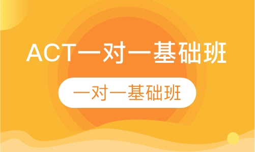 ACT一对一基础班