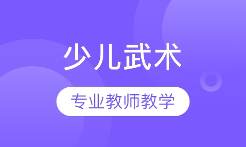 少儿武术