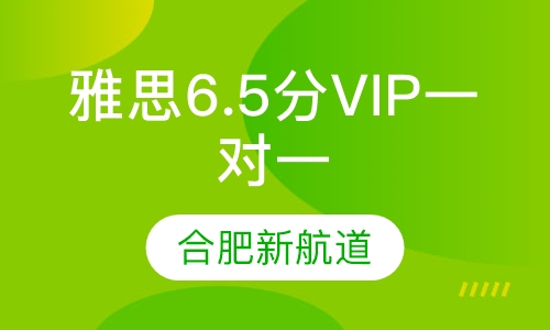 雅思6.5分长线VIP一对一班