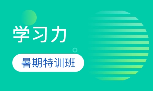 学习力暑期特训班
