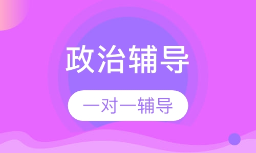高中一对一政治辅导