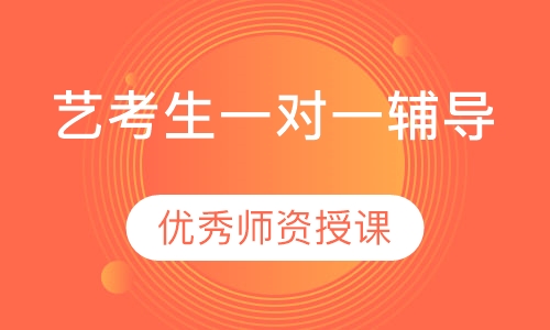艺考生一对一辅导