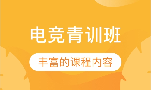 电竞青训班