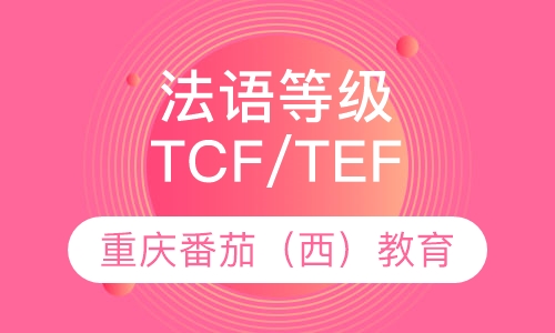 法语等级考试TCF/TEF
