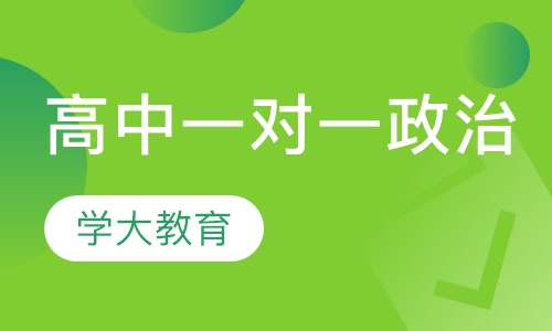 高中一对一辅导政治
