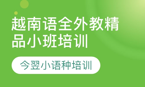 越南语全外教精品小班培训