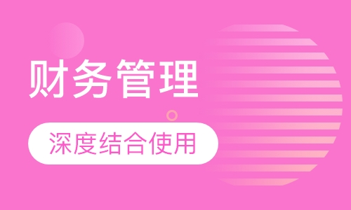 Excel在财务管理中的应用--高级篇