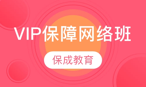 VIP保障网络班