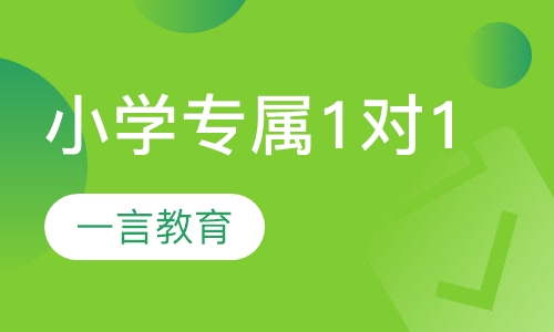 小学辅导专属1对1