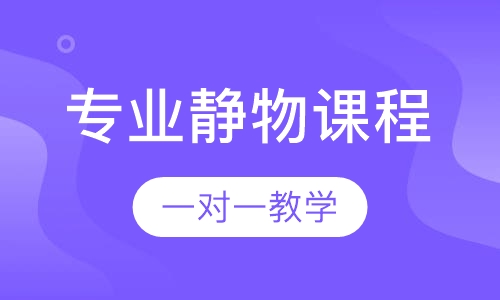 专业静物课程