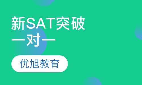 新SAT突破一对一