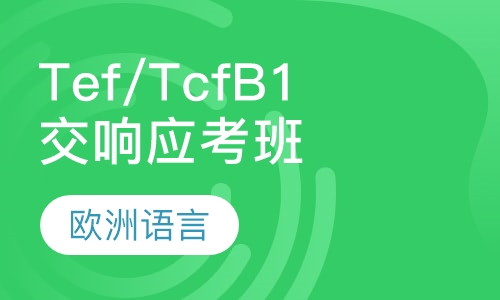 交响Tef/Tcf B1应考班