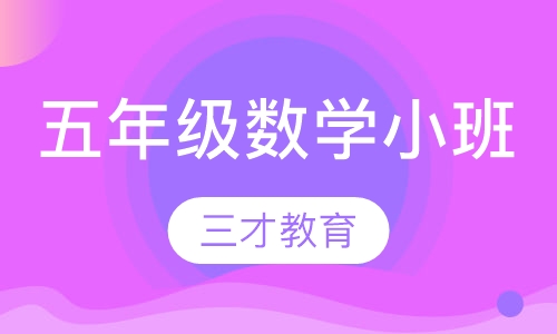 春季小学五年级数学中南路精品小班