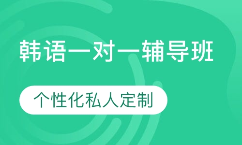 直播课韩语一对一辅导班