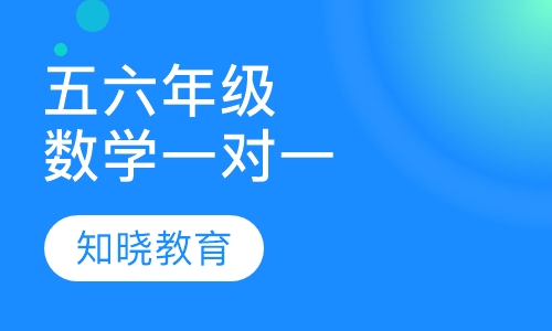小学五六年级数学一对一辅导课程