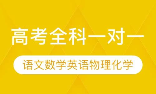高考全科一对一辅导（语数英物化生史地政）