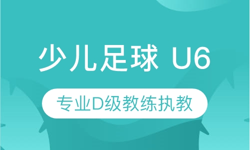 少儿足球 U6