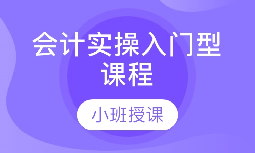 会计实操入门型课程