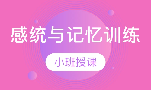 感统与记忆训练