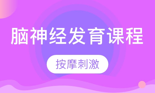 脑神经发育课程