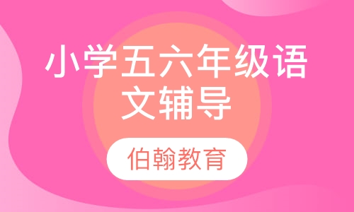 小学五六年级语文辅导
