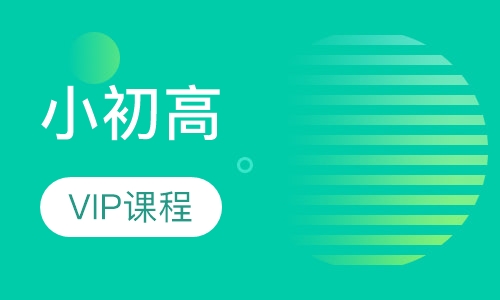 小初高VIP课程