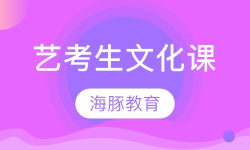艺考生文化课