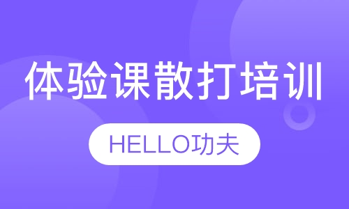 体验课散打培训