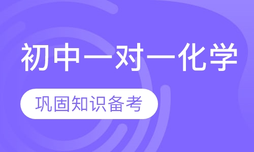 初中一对一化学辅导