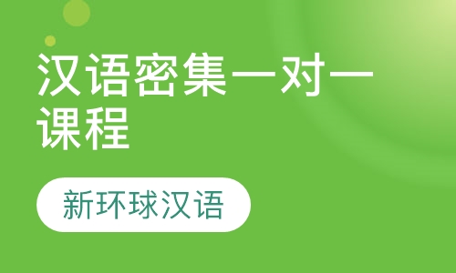 汉语密集一对一课程