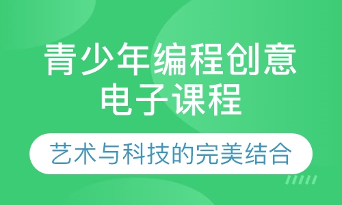 青少年编程创意电子课程