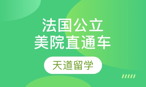 法国公立美院直通车项目