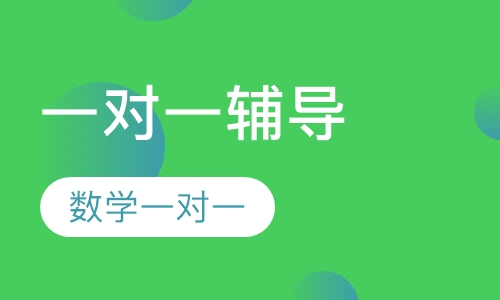 数学一对一辅导