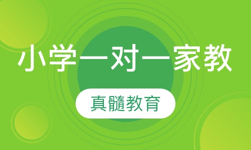 小学一对一家教