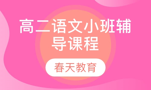 高二语文小班辅导课程
