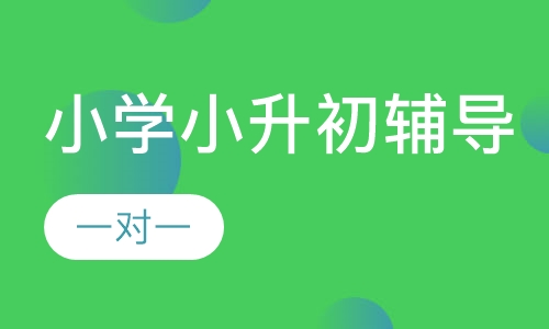 小学一对一小升初辅导