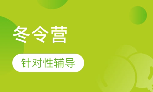 上海亮剑文武双全冬令营