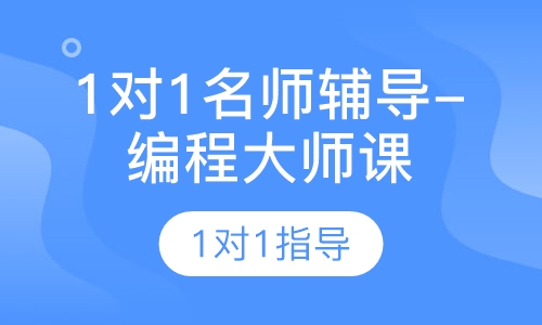 1对1名师辅导-编程大师课