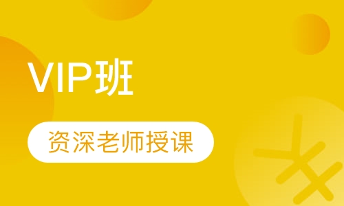 中级经济师VIP班