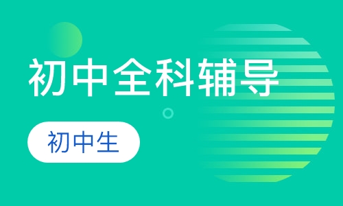 初中VIP一对一全科辅导