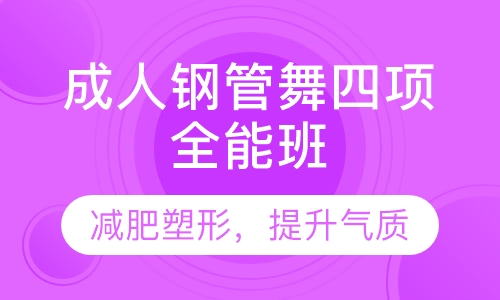 成人钢管舞四项全能班