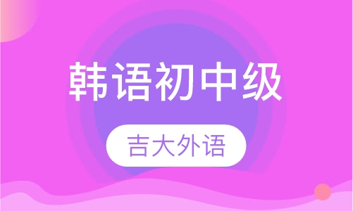 韩语初、中级组合卡