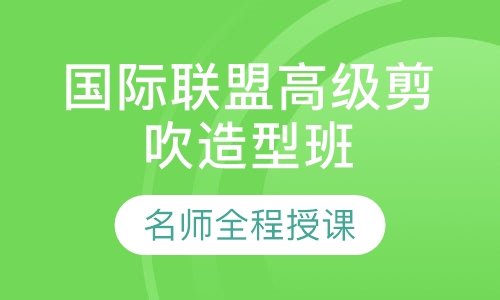 国际联盟高级剪吹造型班