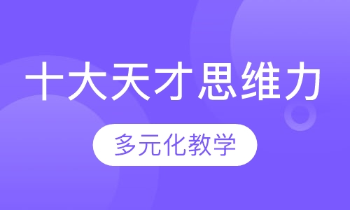 十大天才思维力