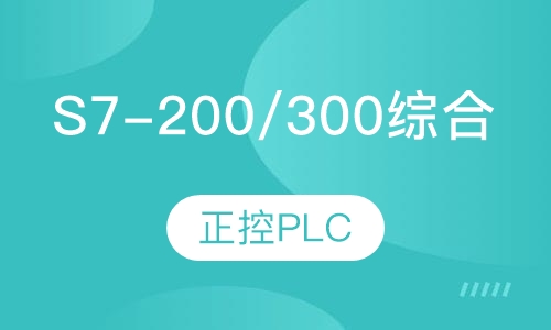 西门子s7-200/300综合班
