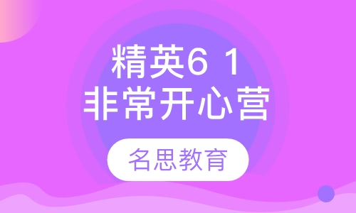 精英6 1小初高学生非常开心营集训