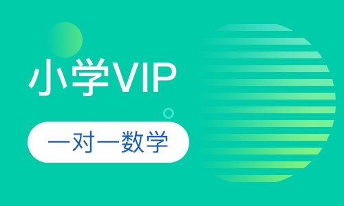 小学VIP一对一数学